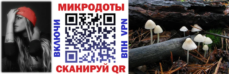 Псилоцибиновые грибы мухоморы  Купить закладки  Нязепетровск 
